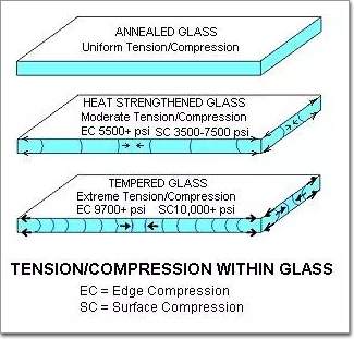 1493441021517505.jpg 14933445281923.jpg